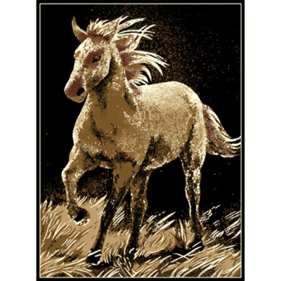 Szőnyeg Shiraz ló 5910/B11