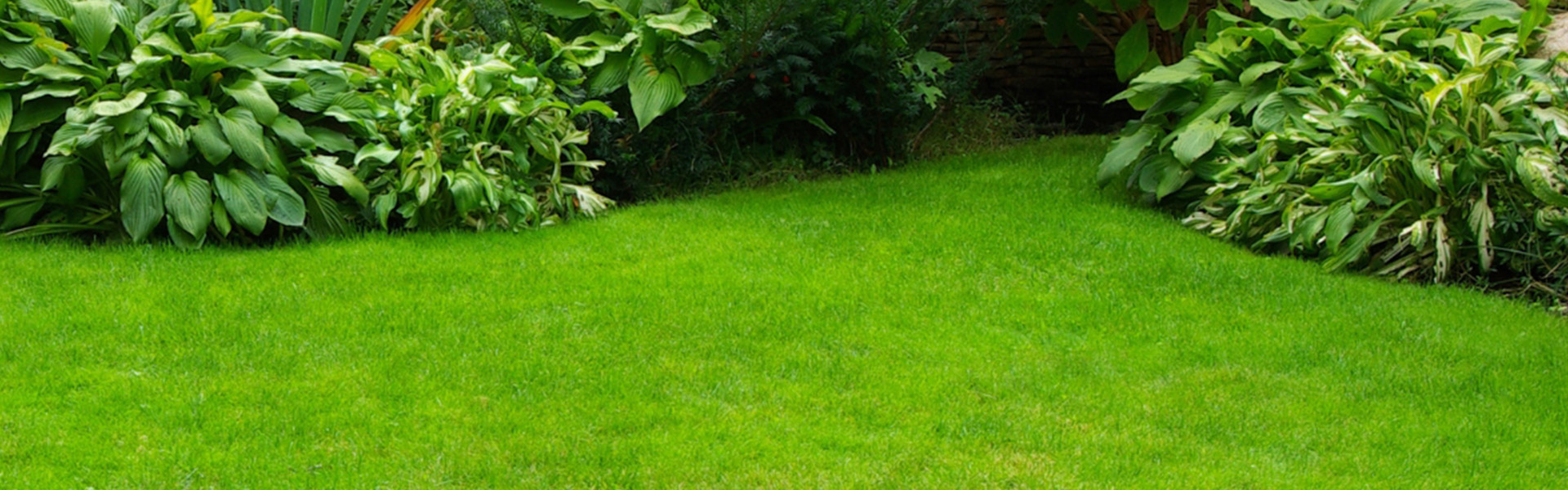 Megérkezett a műfű-szezon!