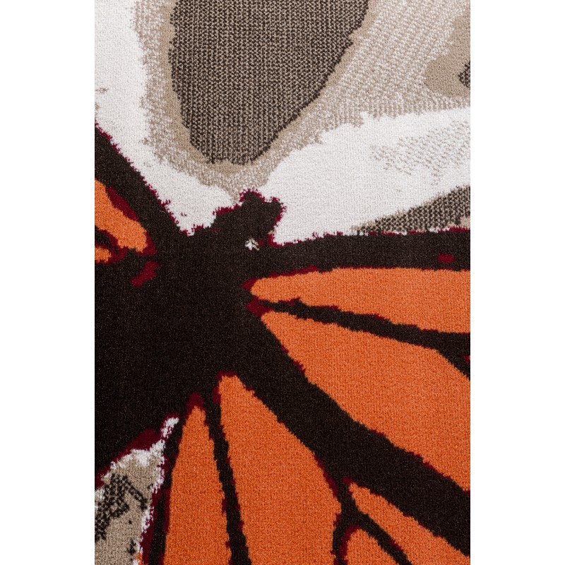 Szőnyeg Shiraz pillangó 2139/S44 160x230 cm