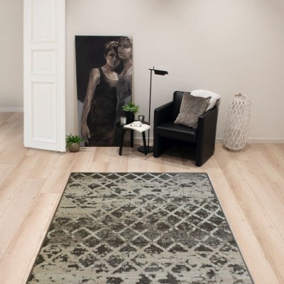 Szőnyeg Shiraz szürke 3235/GG22 190x280 cm