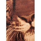 Szőnyeg Shiraz tigris 6820/B51 160x230 cm