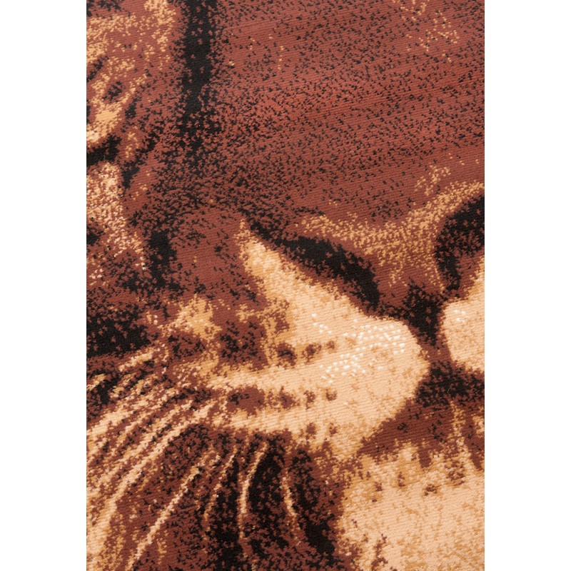 Szőnyeg Shiraz tigris 6820/B51 160x230 cm