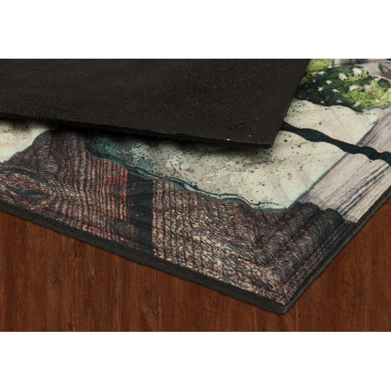 Lábtörlő Lima Mat Succulents 45x75 cm