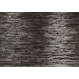 Poszter Birkenrinde 254x368 cm