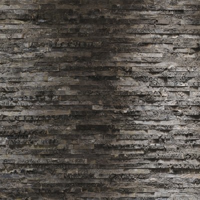 Poszter Birkenrinde 254x368 cm