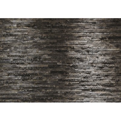 Poszter Birkenrinde 254x368 cm