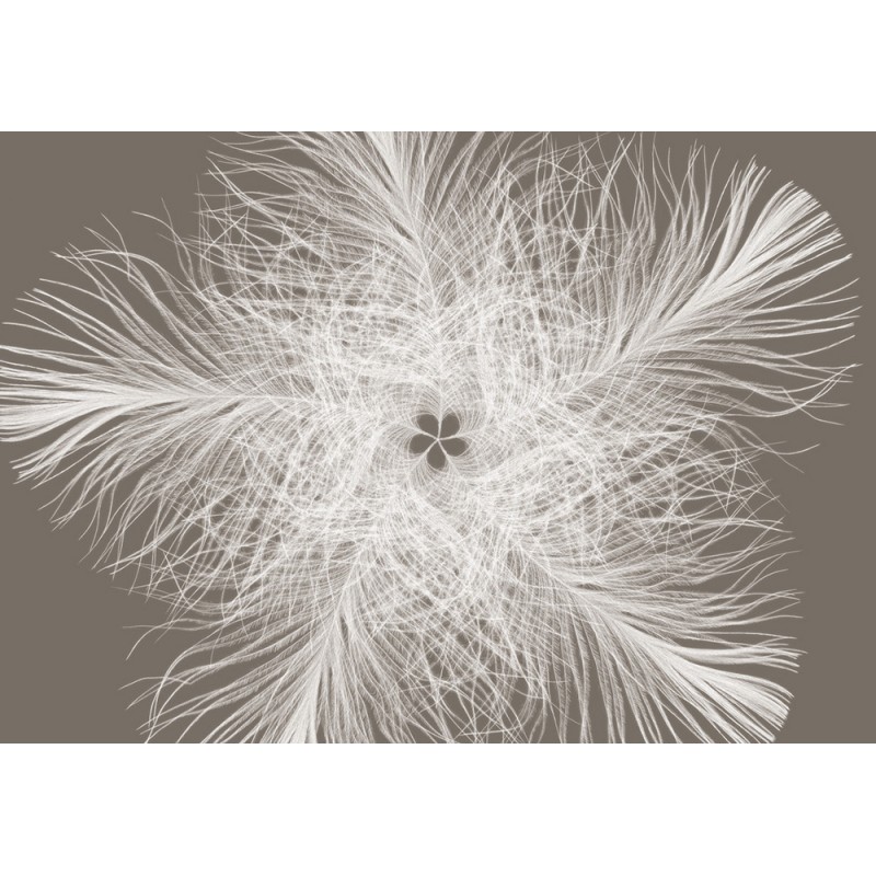 Poszter Federstern 248x368 cm
