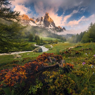 Poszter Morning Walk 254x368 cm