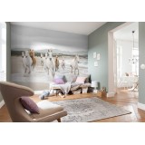 Poszter White Horses 254x368 cm