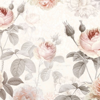 Poszter La Maison 248x368 cm