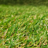 AIMSLEY 20 mm műfű 4 m széles