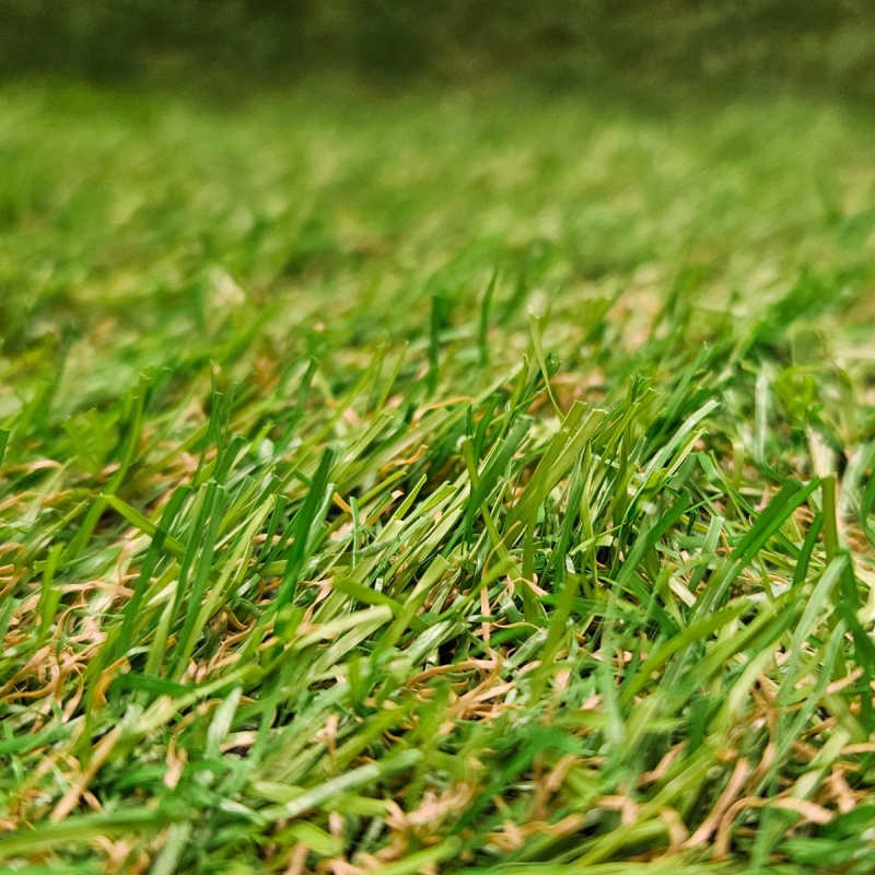 AIMSLEY 20 mm műfű 4 m széles