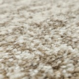 Szőnyeg Phoenix barna 6084-0122 240x340 cm