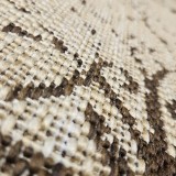 Szőnyeg Plutus bézs 1037-232 200x290 cm